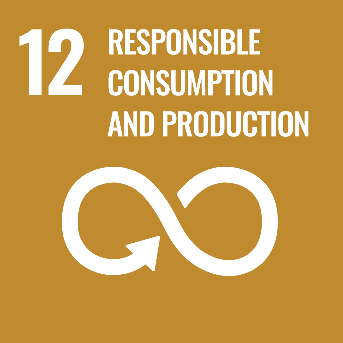 Label de durabilité de l'ONU 12 - Responsible Consumption and Production.